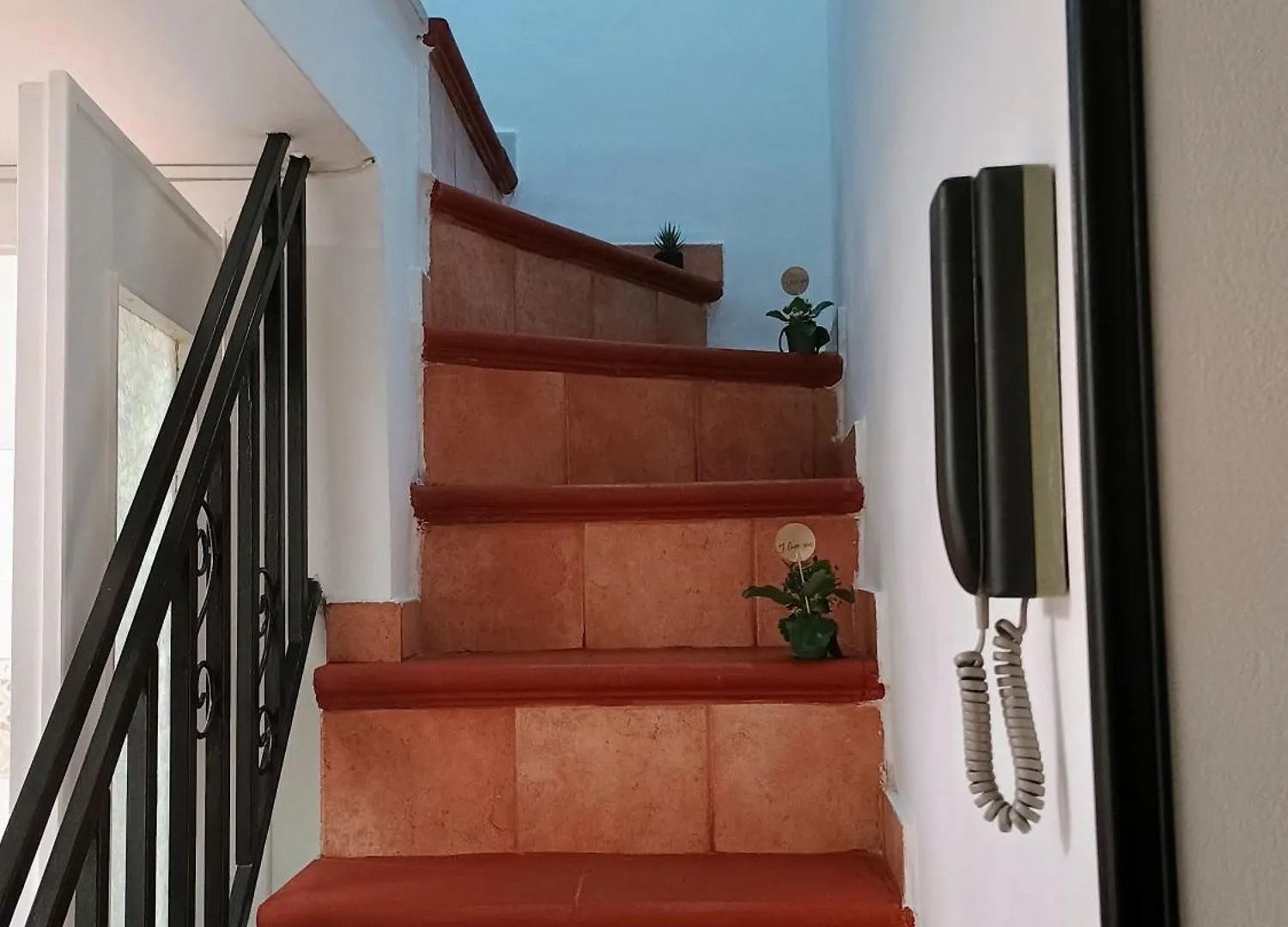 Appartamento Casa Centro Storico O Capu Palermo